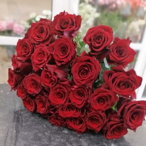 Роза однобутонная красная 25 шт